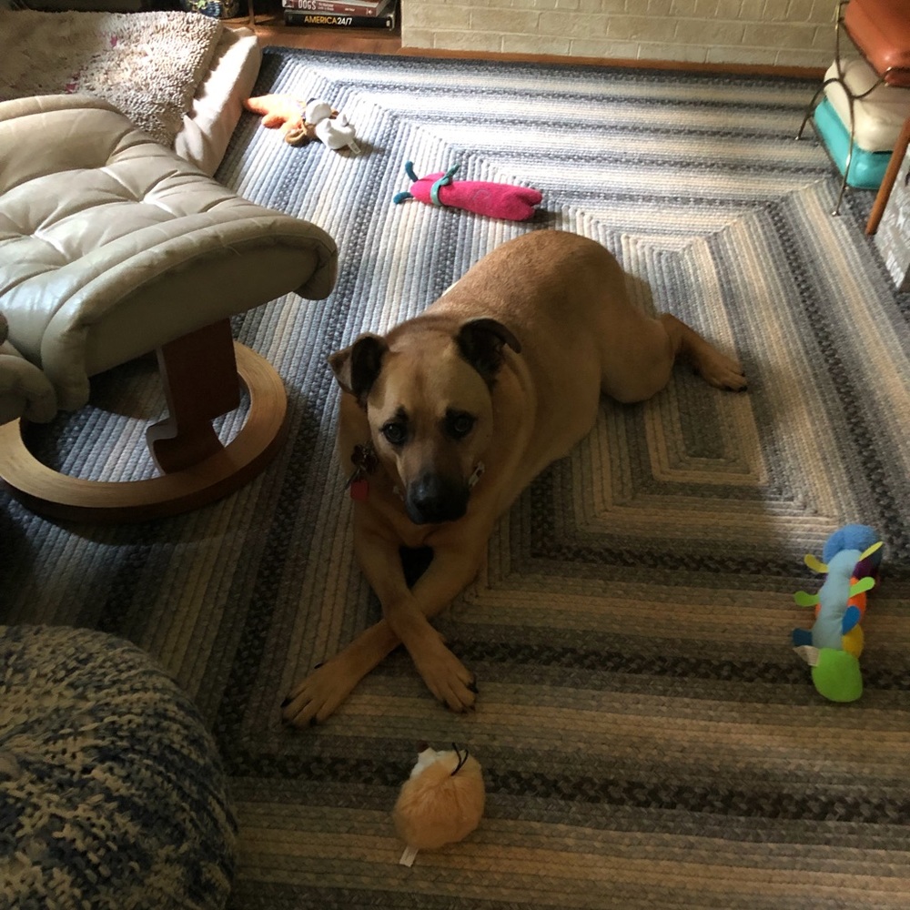 Meet your Posher, Karen